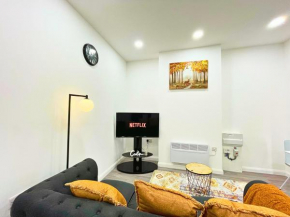 Entire 2 Bedroom Flat Leicester DMU - LT Flat 2